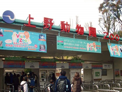 上野動物園の画像（上野エリア）