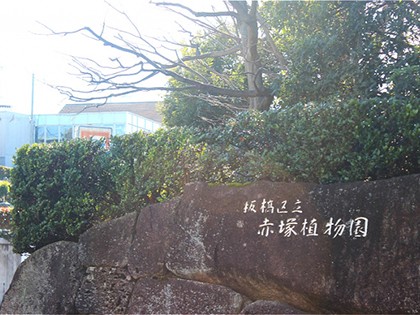赤塚植物園の画像（成増エリア）